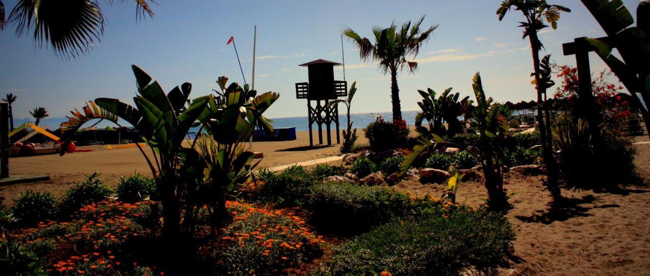 Estudio Con Encanto En La Carihuela توريمولينوس المظهر الخارجي الصورة